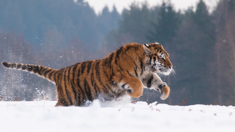 Фото:depositphotos.com