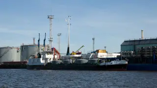 Трамп временно снял санкции с российской нефти: теперь ее могут покупать по всему миру