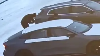 Автомобиль угнали прямо из автосалона в Алматинской области