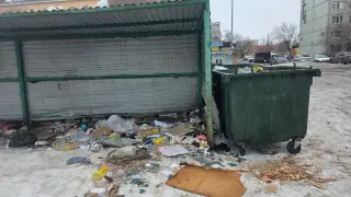 Тело в сумке на мусорке: раскрыты подробности жуткой истории в Актобе