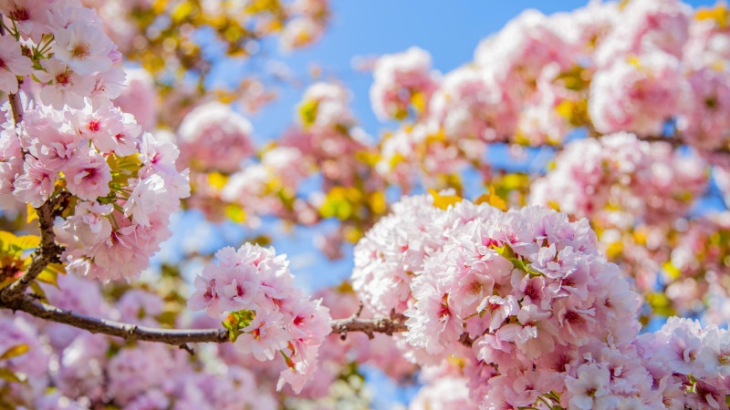 Фото:depositphotos.com