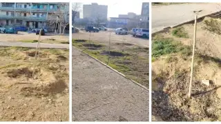 Жители Актау пожаловались на вопиющий акт вандализма