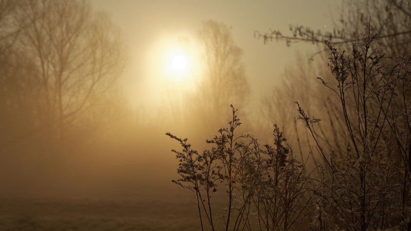 Фото:depositphotos.com