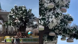 “Древо счастья“: необычный арт-объект появился в Алматы