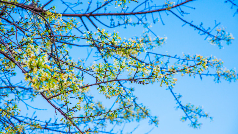 Фото: depositphotos.com