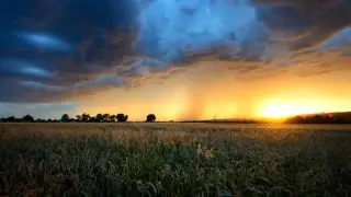 30-градусная жара придёт в Казахстан