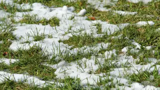 До +24 и гололедица - какой будет погода 27, 28, 29 марта в Астане и Алматы