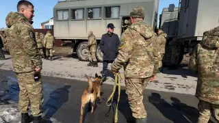 “Сынок, отзовись!“ Мать пропавшего в Костанае студента записала видеообращение