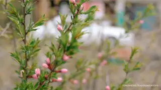 Сухо и тепло: какой будет погода в Казахстане 28 марта