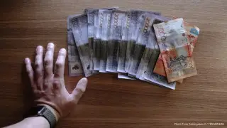 Почти миллиард бюджетных тенге похитили ветеринары в Туркестанской области