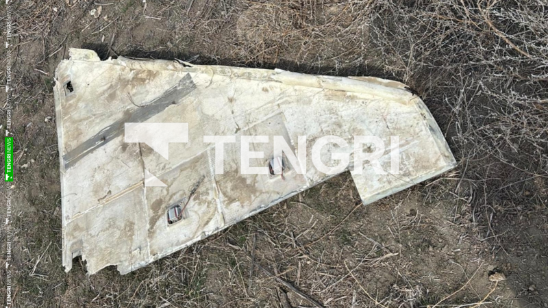 Фото: соцсети