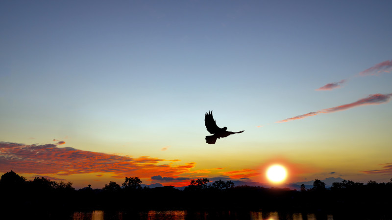 Фото: depositphotos.com