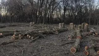 “Город готовы пустить под нож“. История с парком Талдыкоргана обернулась проверкой