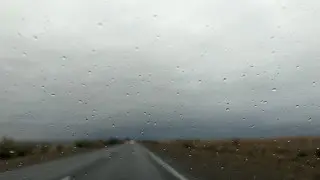 Туман и усиление ветра: Штормовые предупреждения объявили в 17 областях