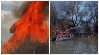 В Кызылорде  в крупном пожаре горел сухостой, деревья и кустарники: виновник установлен