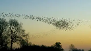 В Астане и Алматы похолодает - прогноз на 3, 4, 5 апреля