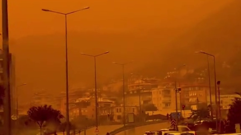 Кадр из видео