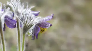 Похолодание отменяется - синоптики уточнили прогноз для Астаны и Алматы