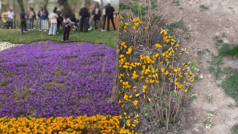 Кадры из видео