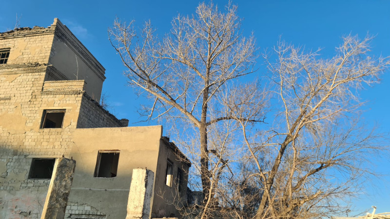 Фото © Tengrinews.kz