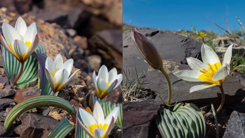 Кадры из видео