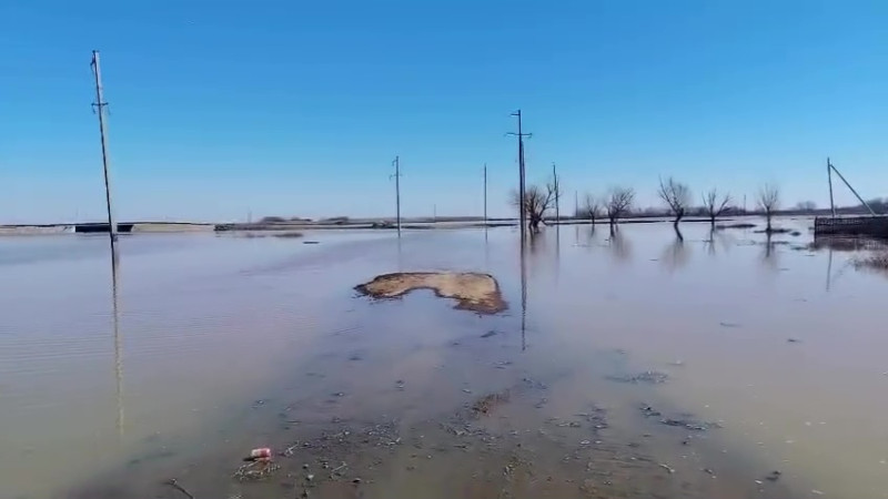 Кадр из видео