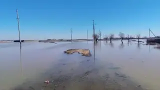 Мужчина пропал во время паводков в Акмолинской области  - его ищут водолазы