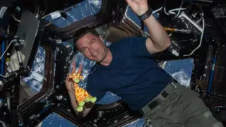 “Артемида-2“ совершила первый в истории звонок из глубокого космоса