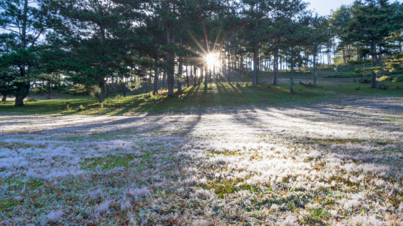 Фото:depositphotos.com