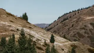 Земли на 17 миллиардов вернули государству в Алматы