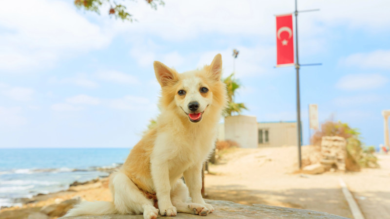 Фото:depositphotos.com