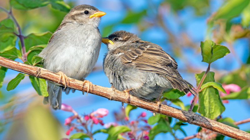 Фото:depositphotos.com