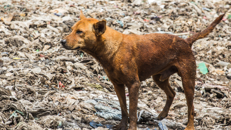 Фото:depositphotos.com