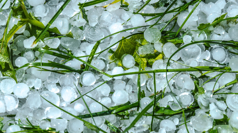 Фото:depositphotos.com