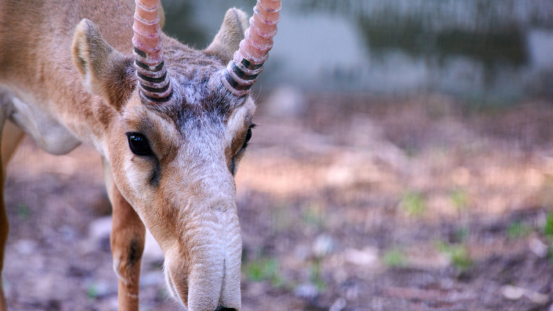 Иллюстративное фото:depositphotos.com