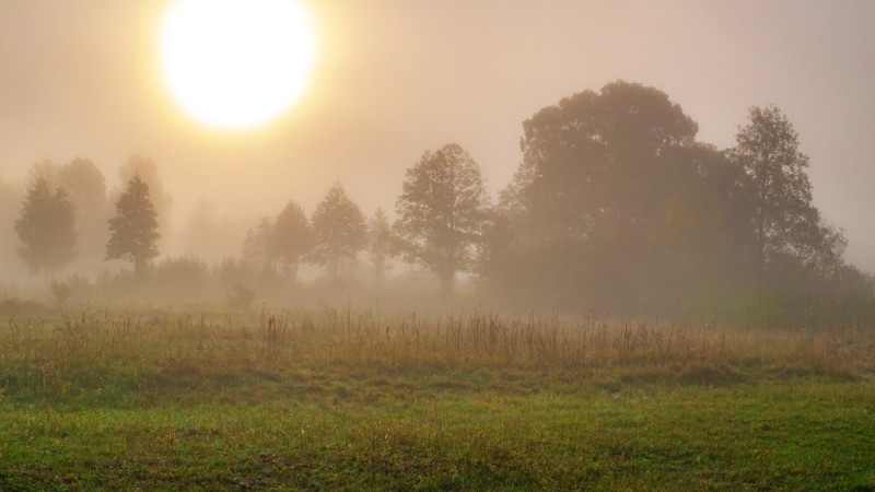 Фото:depositphotos.com