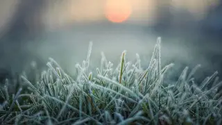 На юге до +27, на севере - заморозки. Какой будет погода в Казахстане 11 апреля