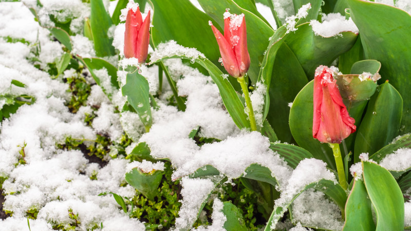 Фото:depositphotos.com