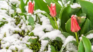 Снег и морозы до 8 градусов придут в Казахстан