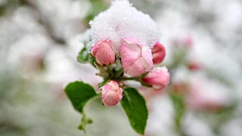 Фото:depositphotos.com