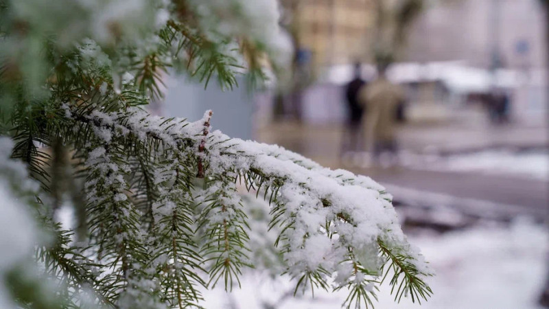 Фото © Tengrinews.kz