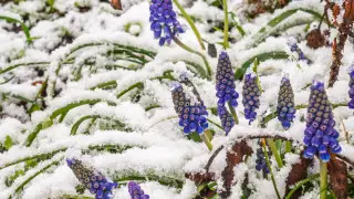 Морозы до -18 - Казахстан накроет резкое похолодание