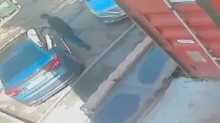 Наглая кража в Астане попала на видео