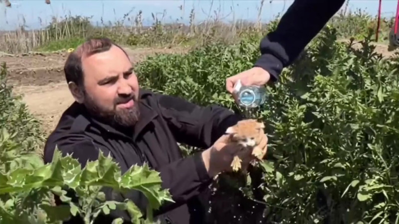 Кадр из видео