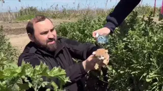 Репутационная катастрофа: против депутата массово ополчились из-за конфликта с блогером