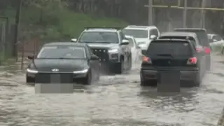 Автомобили “плавают“ из-за дождя в Алматы - видео