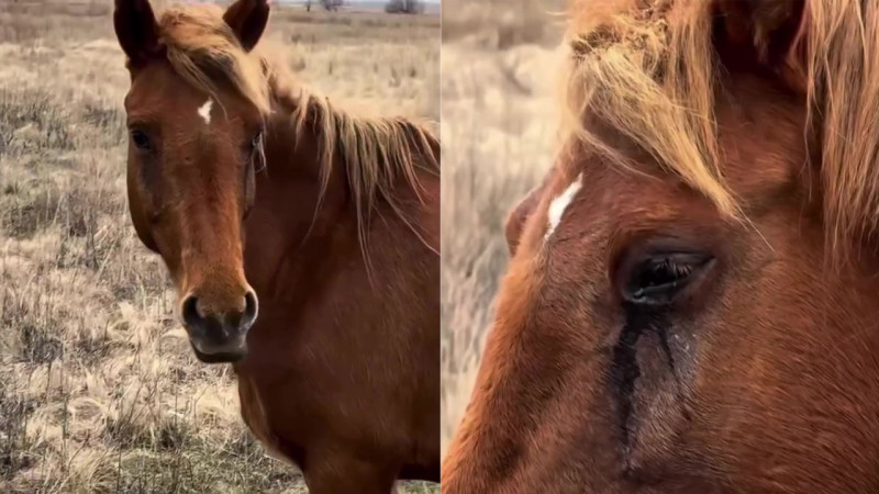 Кадры из видео