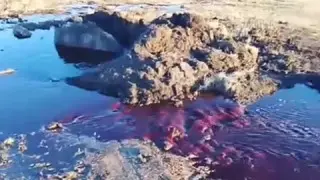 Колодец с кровью шокировал жителей Щучинска