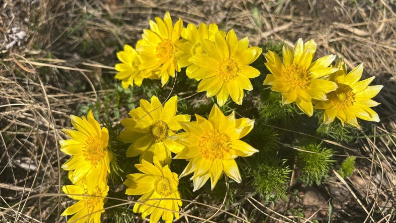 Фото: burabaypark.qr-pib.kz