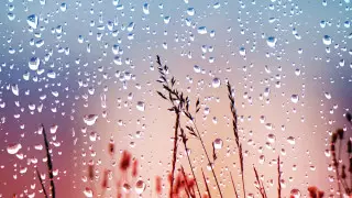 Дожди на юге, усиление ветра на севере: какой будет погода в Казахстане в субботу